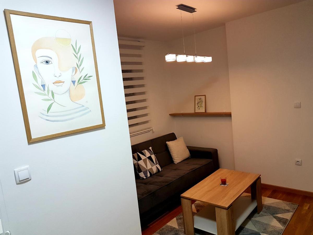Apartman Istra, Добой Екстер'єр фото